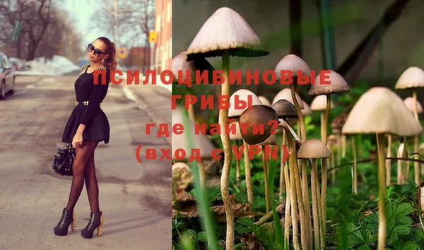 эйфоретик Абинск