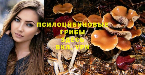 бутират Абаза