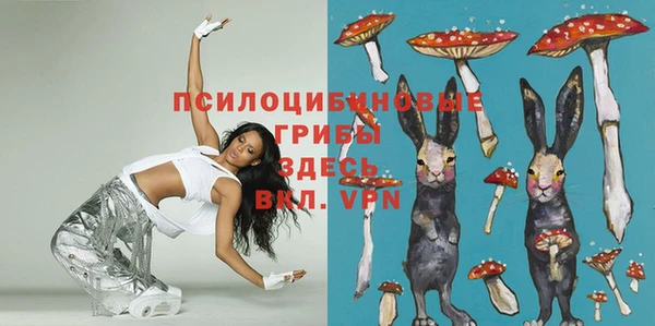 эйфоретик Абинск