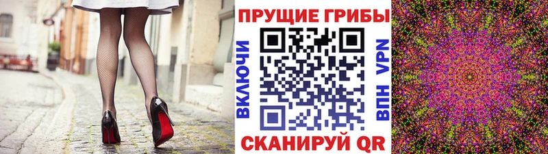 Галлюциногенные грибы Cubensis  Кимовск 